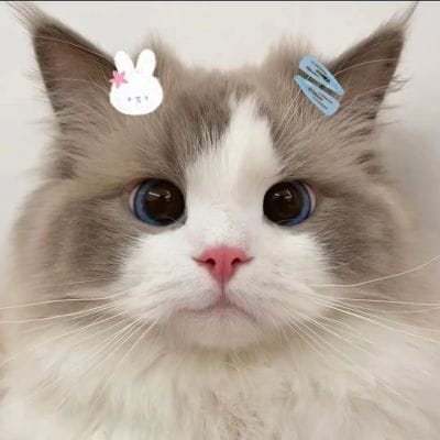 คุณโอม ภวัต avatar
